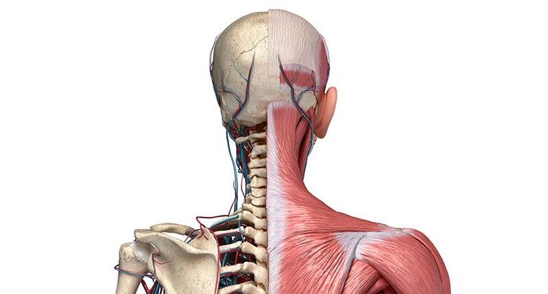 alterações degenerativas nas vértebras